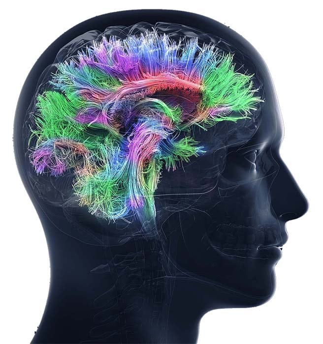 neurological disorders treatment with craniosacral therapy in New York City